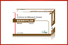 Bayberry Pharma Pharma Franchise Pune Maharashtra