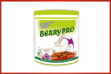 Bayberry Pharma Pharma Franchise Pune Maharashtra