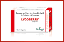 Bayberry Pharma Pharma Franchise Pune Maharashtra