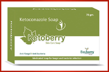 Bayberry Pharma Pharma Franchise Pune Maharashtra