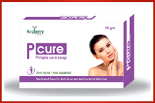 Bayberry Pharma Pharma Franchise Pune Maharashtra
