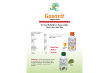 	herbal-syrup-gasovit.jpg	