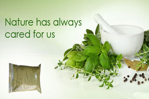 pharma franchise in Haryana Elzec Herbal