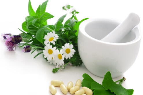 top herbal pcd company in Haryana