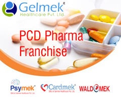 Gelmek Healthcare top pcd pharma in Ahmedabad
