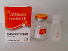 santiago-lifesciences-pcd-franchise-in-jabalpur-madhya-pradesh-base-pharma-company