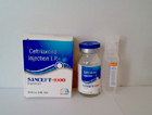 santiago-lifesciences-pcd-franchise-in-jabalpur-madhya-pradesh-base-pharma-company