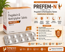  Pharma franchise in Gujarat - Femgrace Formulations	PREFEM-N.jpeg	