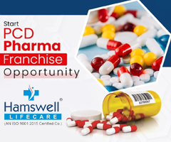 top pcd franchise in ahmedabad gujarat hamswell