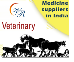 top veterinary franchise company in Chandigarh Vee Remedies