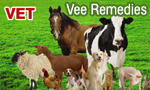 top Veterinary franchise in chandigarh